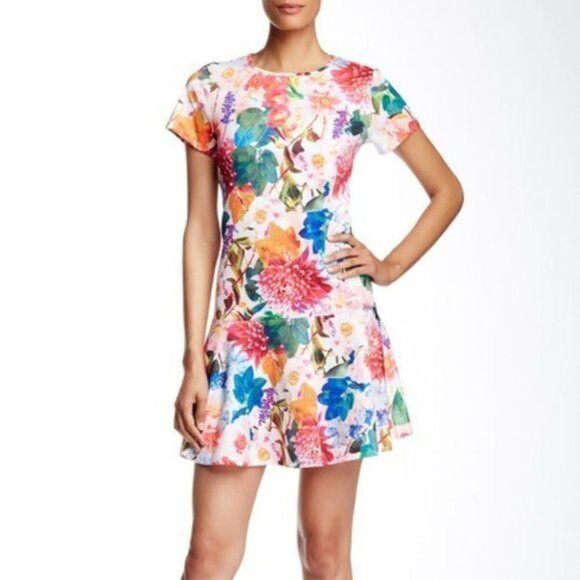 CeCe Cynthia Steffe floral Spring Dress 6 - Picture 1 of 7